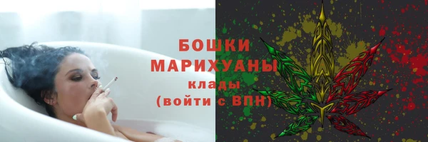 бошки Белокуриха