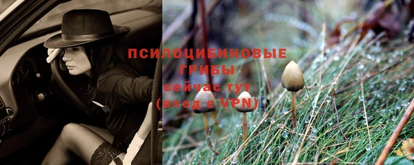 jwh Зерноград