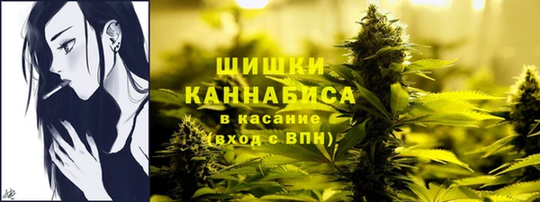 шишки Белоозёрский