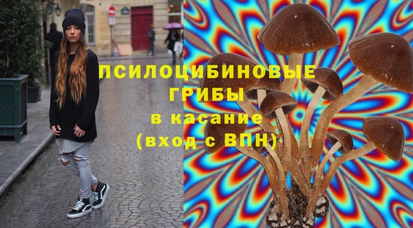 мдпв Балабаново