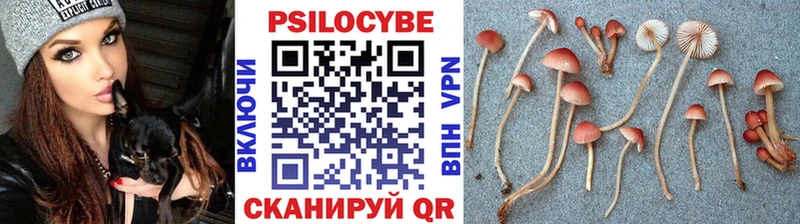 hydra вход  Боготол  Галлюциногенные грибы MAGIC MUSHROOMS 